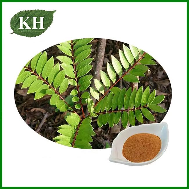 Tongkat Ali Extract Powder Tongkat Ali Extract Powder